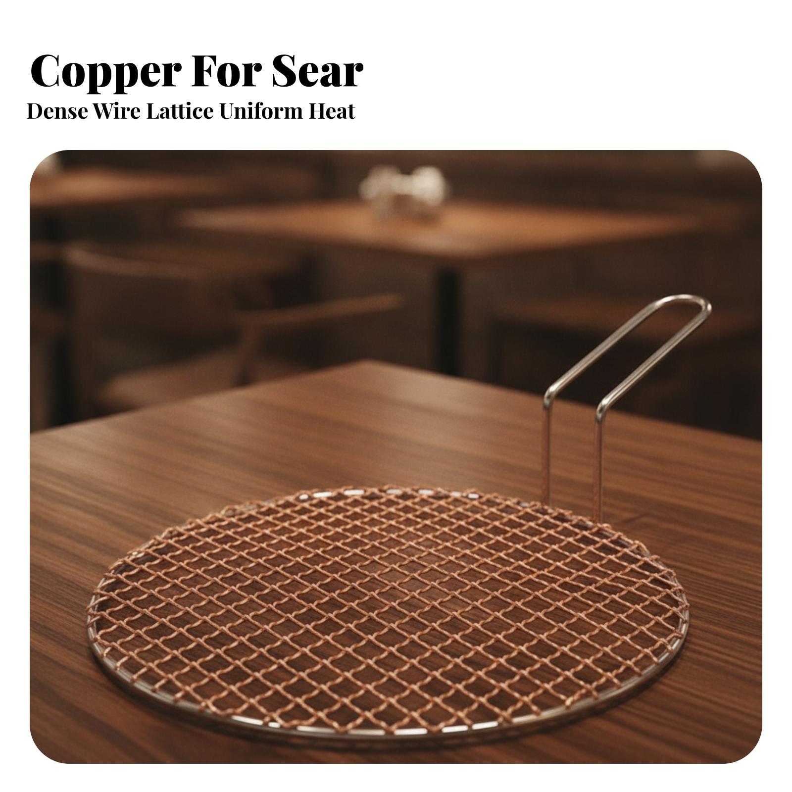 Portable Copper Mesh Round Gri - Camping Cooking Grill review and price